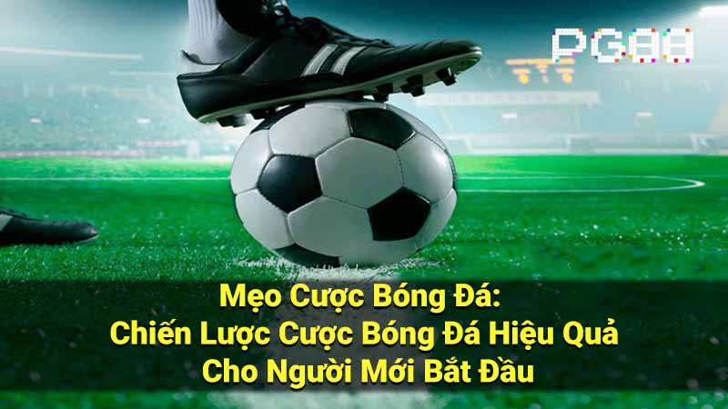 Mẹo Cược Bóng Đá: Chiến Lược Cược Bóng Đá Hiệu Quả Cho Người Mới Bắt Đầu